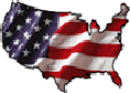 america_as_a_flag.gif